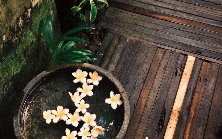 Bali mi, Uzakdoğu Ritüeli mi? İki Ada, İki Karakter; Alev Spa makalesi