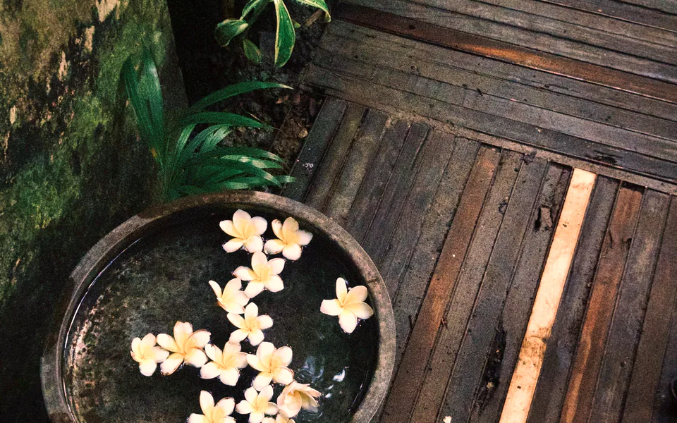 Bali masajı · taş kurnada frangipani çiçekleri